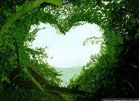 heart shaped from green shrubs and trees