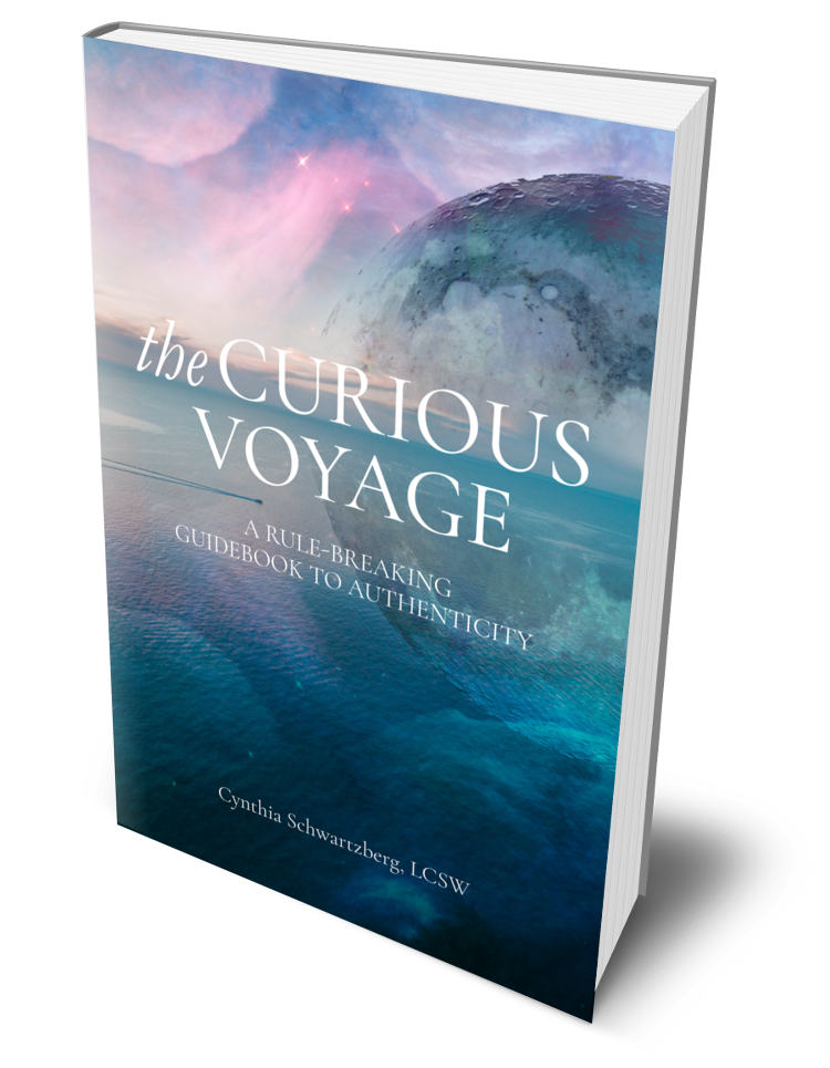 cynthia schwartzberg the curious voyage