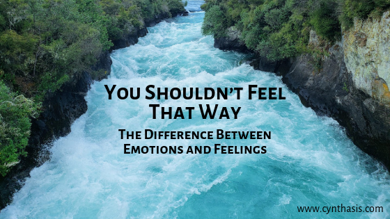 “You Shouldn’t Feel That Way.” The Difference Between Emotions and Feelings