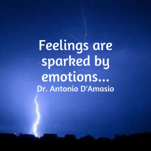 feelings emotions antonio damosio