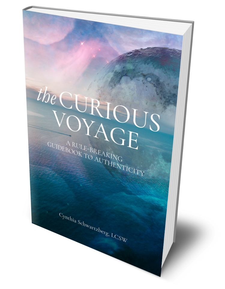 cynthia schwartzberg the curious voyage