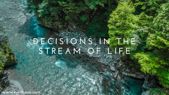 Decisions in the Stream of Life